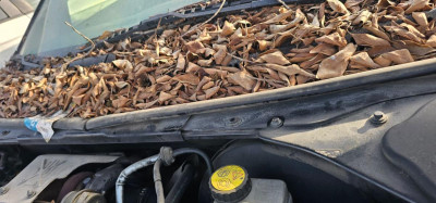 MOTOR LIMPIA DELANTERO, FORD, MONDEO BERLINA (GE)