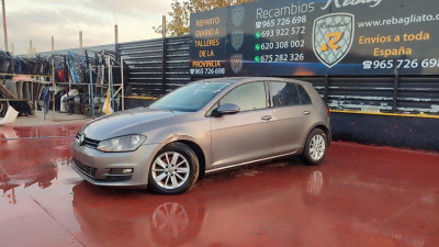 VOLKSWAGEN GOLF VII VARIANT (BA5)
