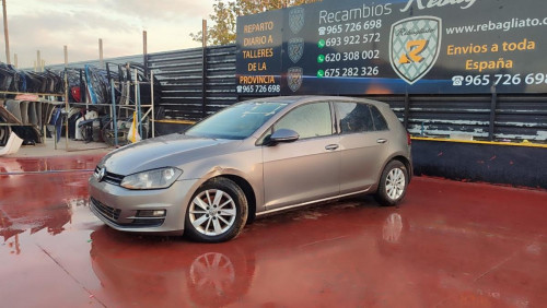  VOLKSWAGEN GOLF VII VARIANT (BA5) 