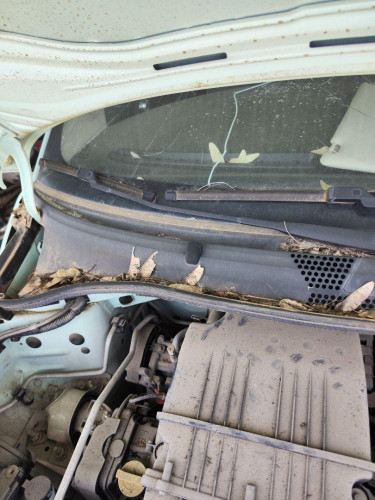 BRAZO LIMPIA DELANTERO DERECHO FIAT 500 (150) BERLINA 