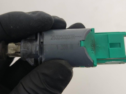  INTERRUPTOR Renault SCENIC III (JZ) 