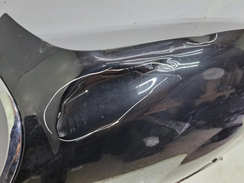 CAPO BMW MINI COUNTRYMAN (R60) 