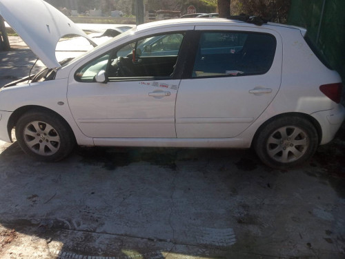  PEUGEOT 307 (S1)(04.2001) 