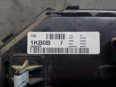 CUADRO INSTRUMENTOS, NISSAN, JUKE (F15E)