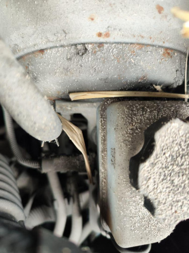 BOMBA FRENO, KIA, CERATO (LD)