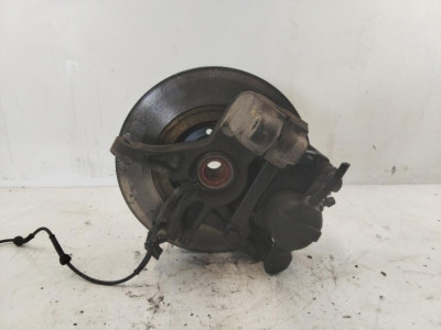 MANGUETA DELANTERA IZQUIERDA, Renault, SCENIC II (JM)