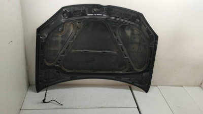 CAPO, Volkswagen, GOLF V (1K1)(10.2003)