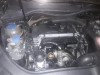  VOLKSWAGEN GOLF V (1K1)(10.2003) 