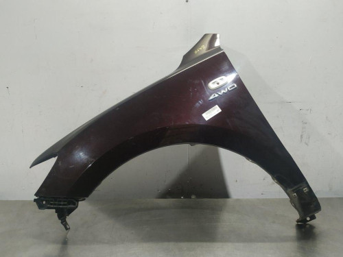  ALETA DELANTERA IZQUIERDA HYUNDAI SANTA FE (CM) 