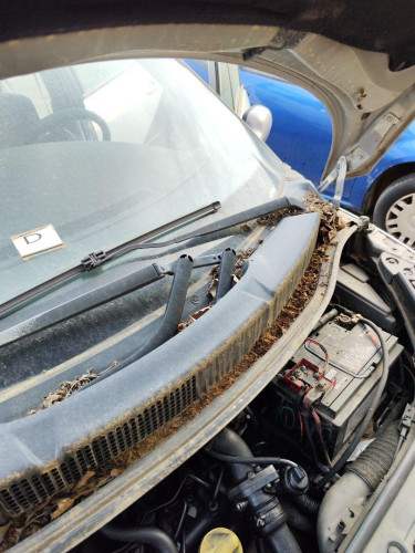 MOTOR LIMPIA DELANTERO RENAULT SCENIC II (JM) 