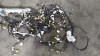 NO IDENTIFICADO TOYOTA AURIS (E18) 