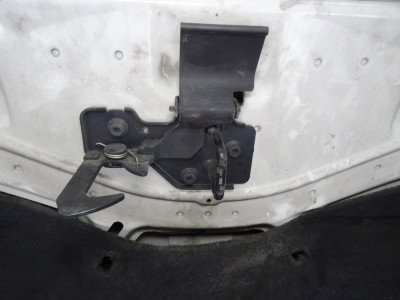 CAPO, SEAT, LEON (1P1)