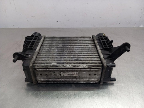  INTERCOOLER, RENAULT, MEGANE II CLASSIC BERLINA 