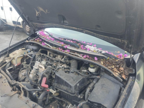  TORPEDO, TOYOTA, COROLLA (E15) 