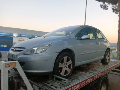 PEUGEOT 307 (S1)(04.2001)