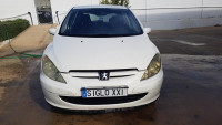 Peugeot 307 (S1)(04.2001->06.2005) SIN IDENTIFICAR