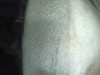 CAJA CAMBIOS PEUGEOT 307 BREAK / SW (S1)(04.2002) 