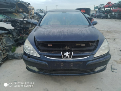 PEUGEOT 607 (S1)(12.2000)