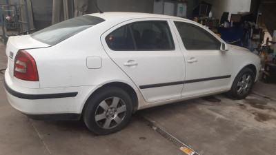 SKODA OCTAVIA BERLINA (1Z3)