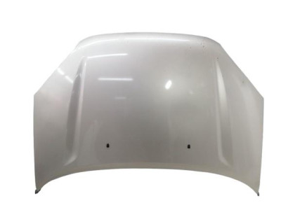 CAPO, TOYOTA, RAV4 (A2)