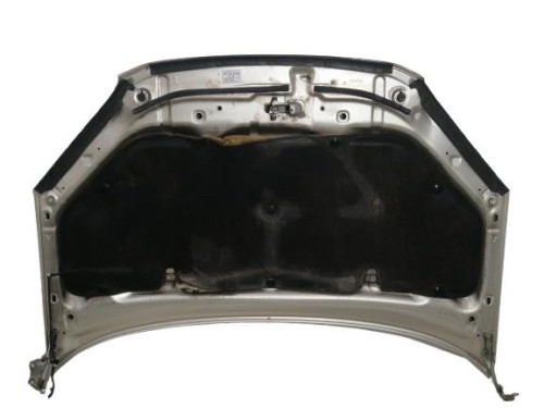  CAPO, TOYOTA, RAV4 (A2) 