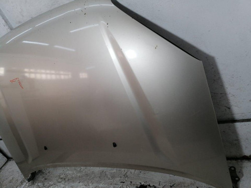  CAPO, TOYOTA, RAV4 (A2) 