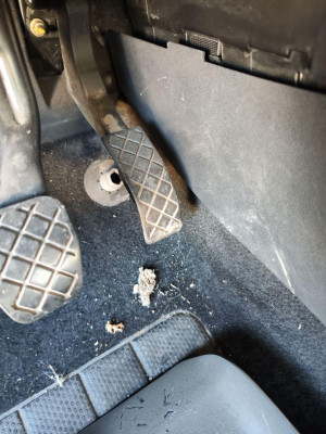 POTENCIOMETRO PEDAL, SEAT, CORDOBA BERLINA (6L2)