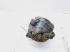 ALTERNADOR Citroen SAXO 