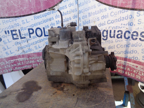CAJA CAMBIOS Volkswagen JETTA V (1K2) 