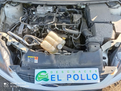  FORD FOCUS BERLINA (CB4) 