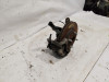 MANGUETA DELANTERA IZQUIERDA Ford FIESTA (CNN) 