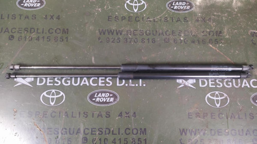 AMORTIGUADORES MALETERO / PORTON BMW SERIE I3 (I01) 