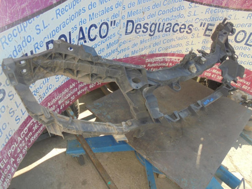 PANEL FRONTAL FORD FOCUS C-MAX (CAP)(2003) 