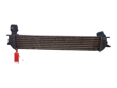 INTERCOOLER, Renault, SCENIC II (JM)