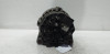  ALTERNADOR NISSAN QASHQAI (J11E) 