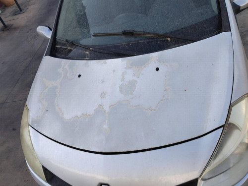 CAPO Renault Clio II Fase II (B/CB0)(2001->) RENAULT Clio II Fase II (B/CB0)(2001->) 