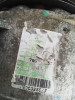 COMPRESOR AIRE ACONDICIONADO Volvo S40 BERLINA 