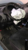 CITROEN BERLINGO — vehículo donante para recambios 