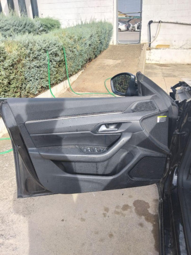 GUARNECIDO PUERTA DELANTERA IZQUIERDA Peugeot 508 (R8)(03.2018->) Peugeot 508 (R8)(03.2018->) 