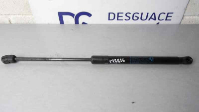 AMORTIGUADORES CAPO, BMW, SERIE X5 (E70)