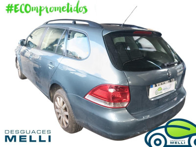 VOLKSWAGEN GOLF V VARIANT (1K5)
