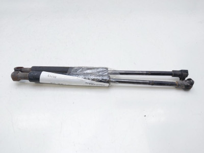 AMORTIGUADORES MALETERO / PORTON, FORD, FOCUS BERLINA (CAK)