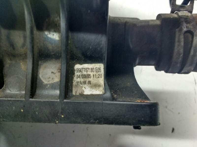 TERMOSTATO, FORD, FOCUS BERLINA (CAP)
