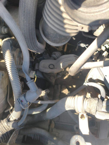  CAJA CAMBIOS, FIAT, I SCUDO (222) 