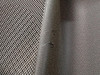  GUARNECIDO PUERTA TRASERA DERECHA Mercedes-Benz CLASE B (BM 246) 