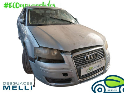 AUDI A3 (8P1)