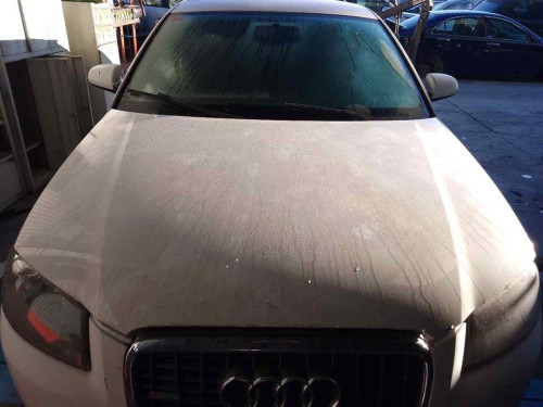 CAPO Audi A3 (8P1) 