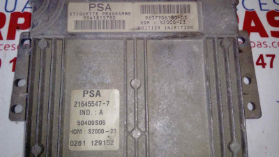 CENTRALITA MOTOR UCE, PEUGEOT, 206 BERLINA 4-PT.