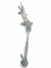  CREMALLERA DIRECCION TOYOTA COROLLA VERSO (R1) 