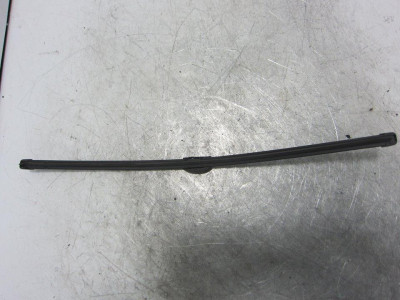 ESCOBILLA LIMPIA